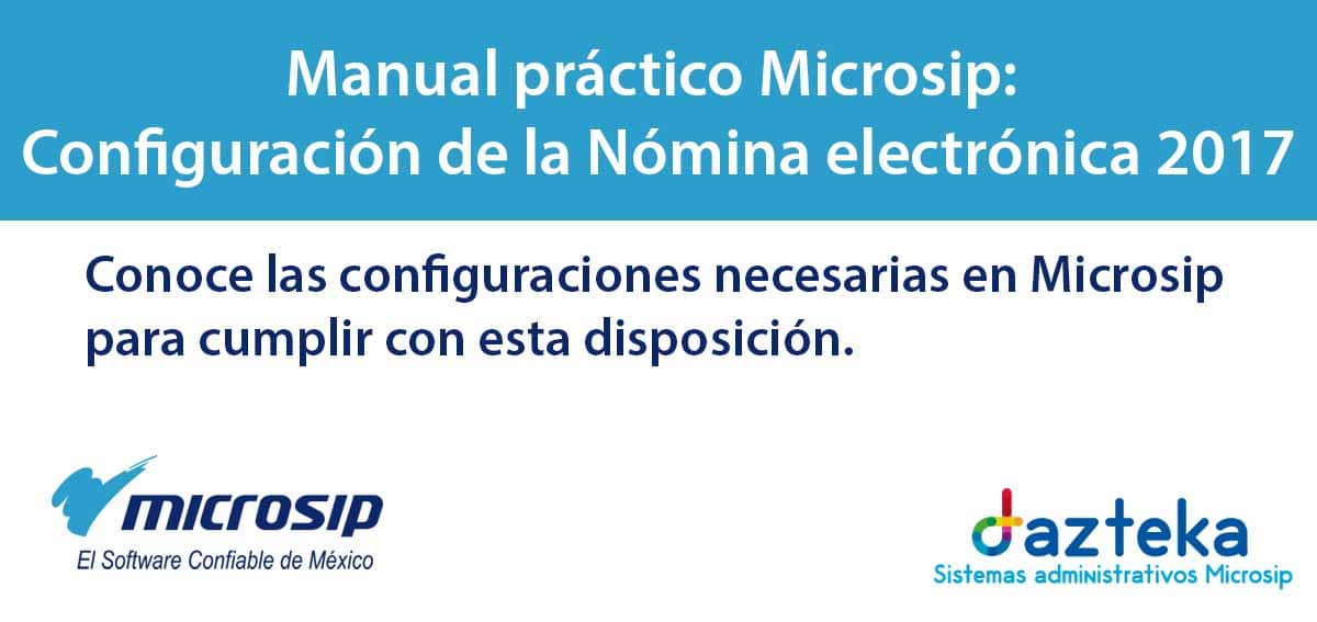 Manual microsip