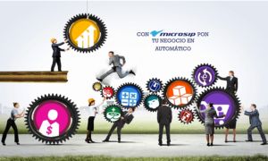 Integración Microsip